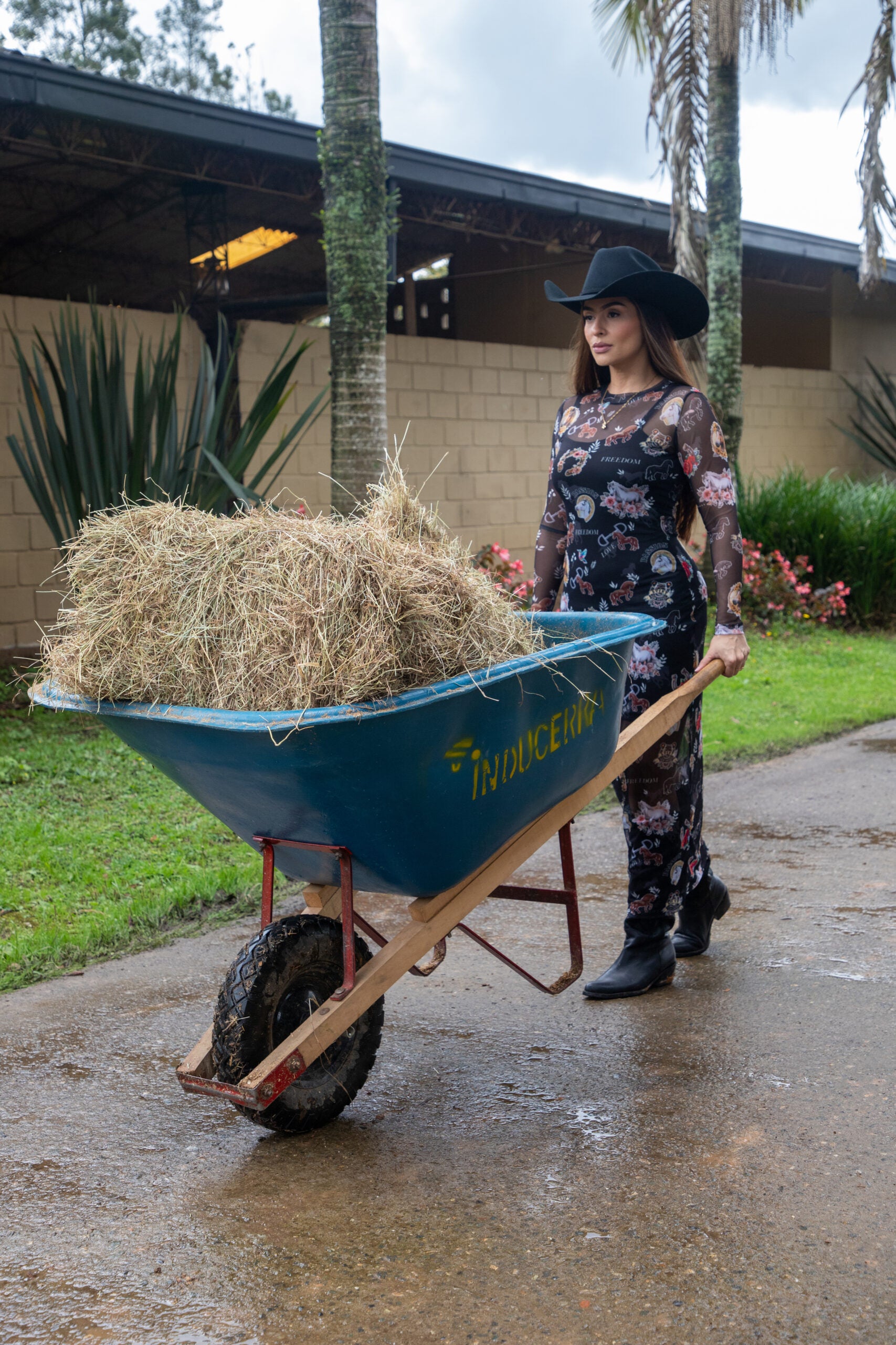 Western Horses Mesh Dress